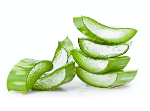 aloevera.png