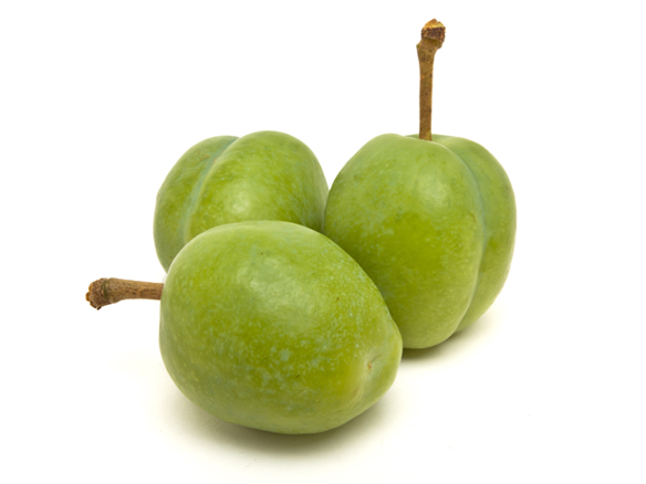 Kakadu-Plum-Extract-548-x-438.jpg