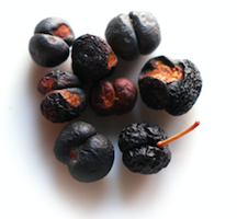 mountain_pepper_berry.png