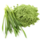 wheat_grass.png